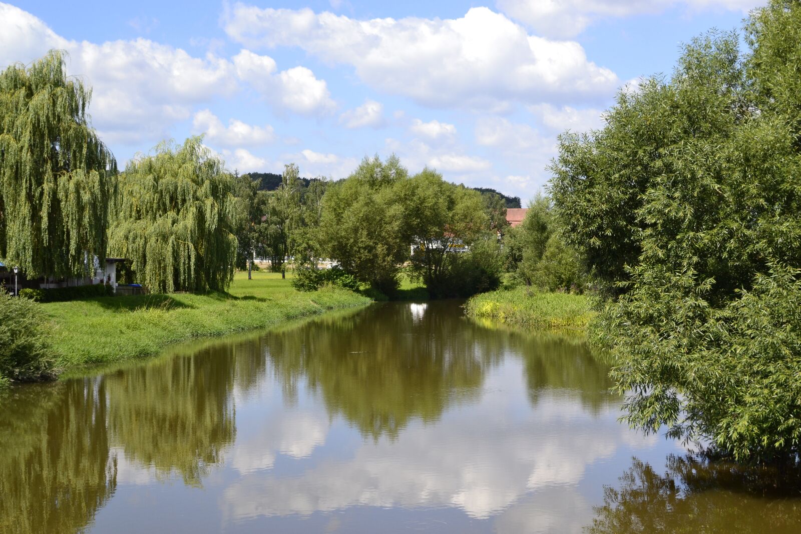 Nikon D3100 sample photo. River, forest, nature photography
