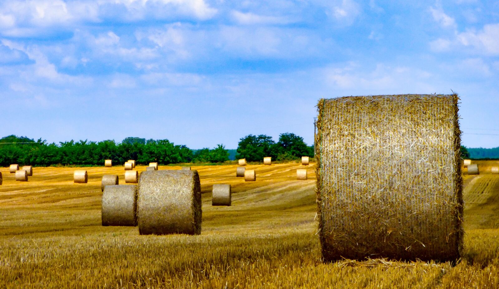 Panasonic DMC-FZ72 sample photo. Field, wheat, harvest photography