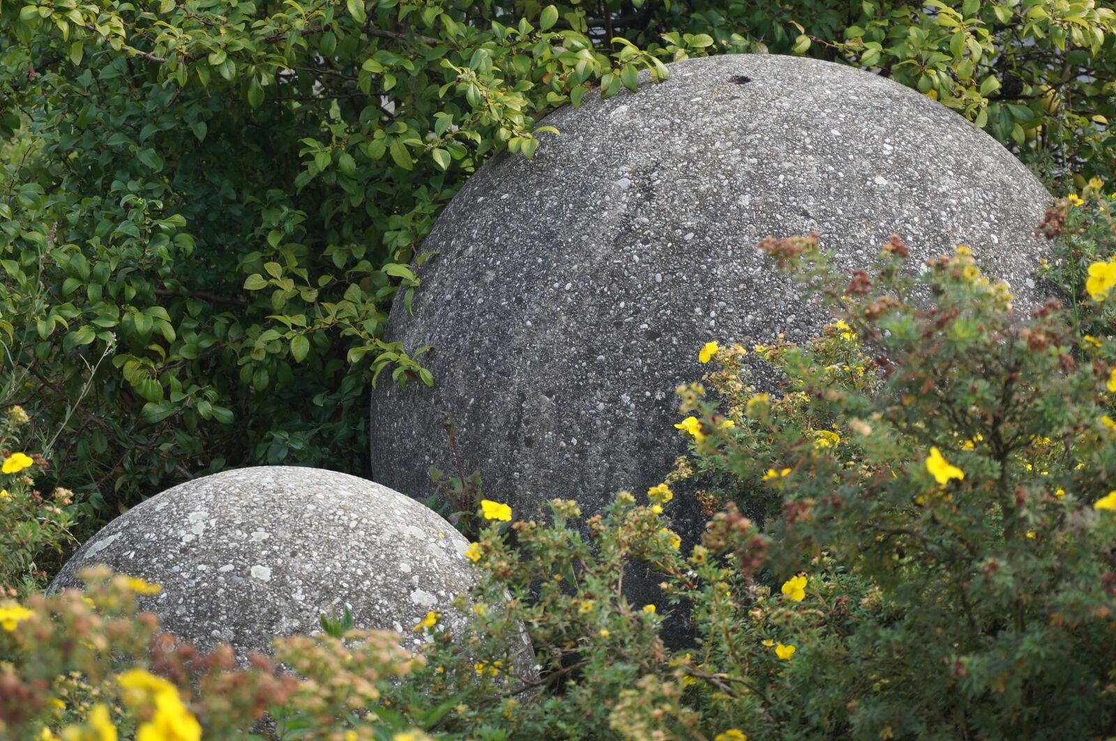 Sony Alpha NEX-3N sample photo. Sphere, stone, flowers photography