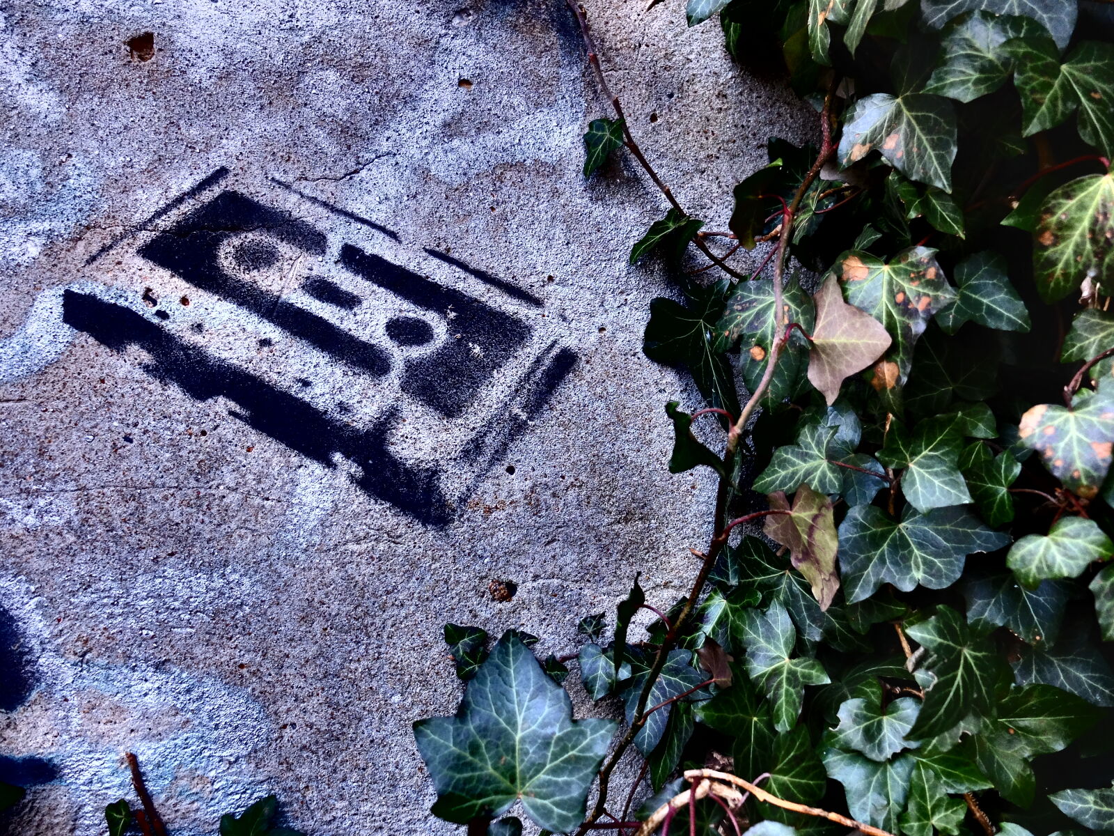 Fujifilm X30 sample photo. Grafitti, music, painting, plant photography