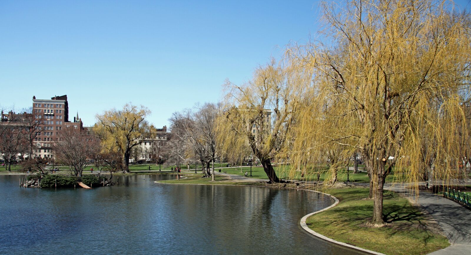 Canon EOS 7D sample photo. Public garden, boston, park photography