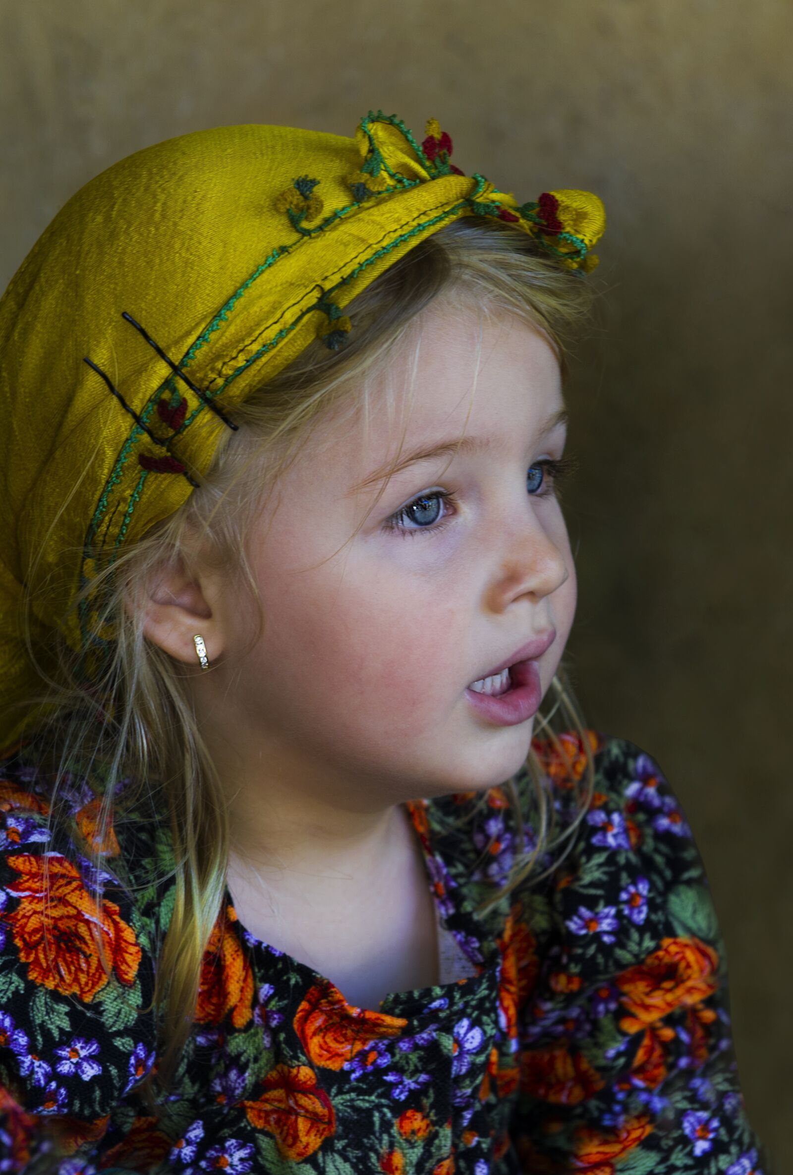 Nikon D3S sample photo. Life in the countryside photography