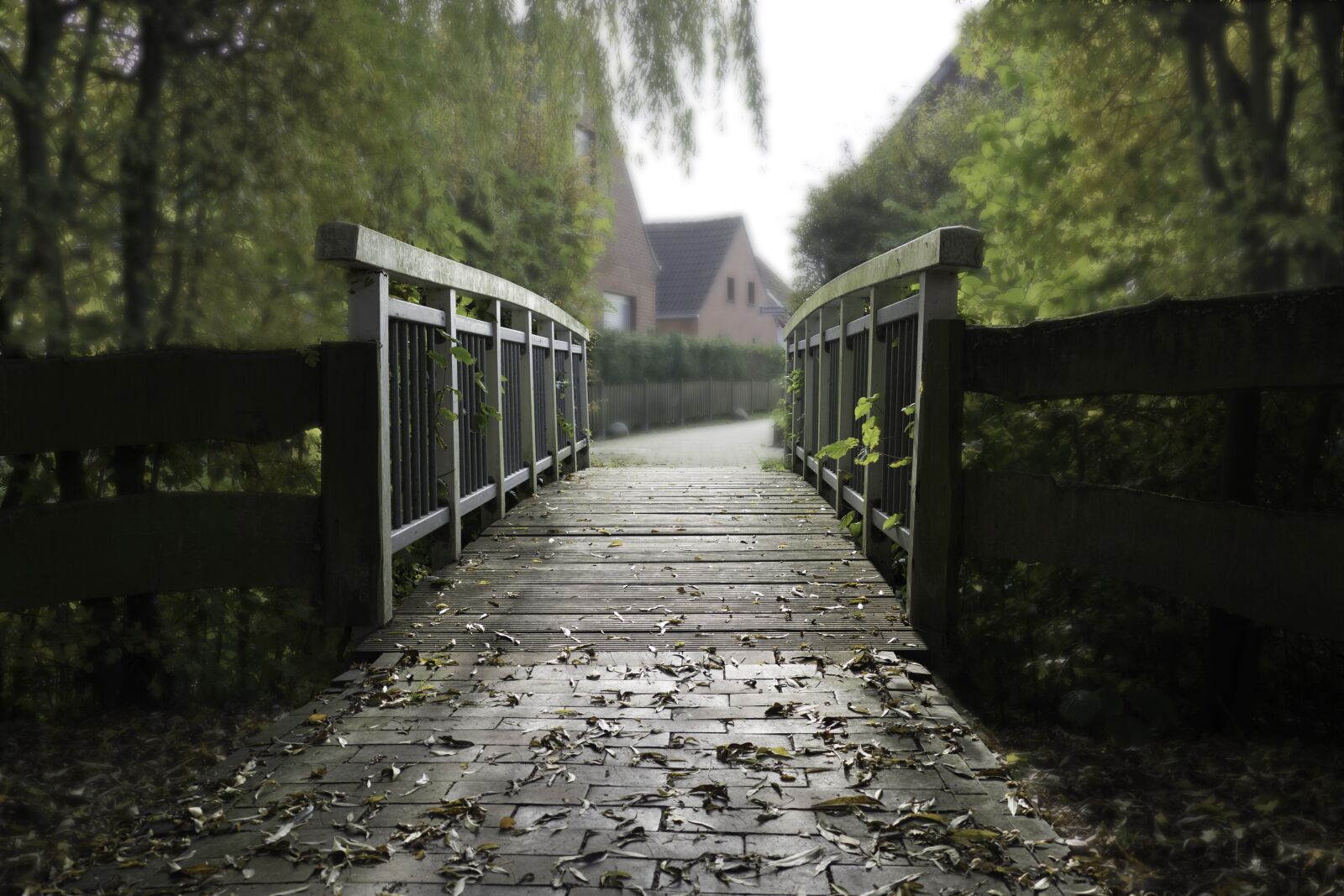Panasonic Lumix DMC-FZ1000 sample photo. Bridge, away, autumn photography