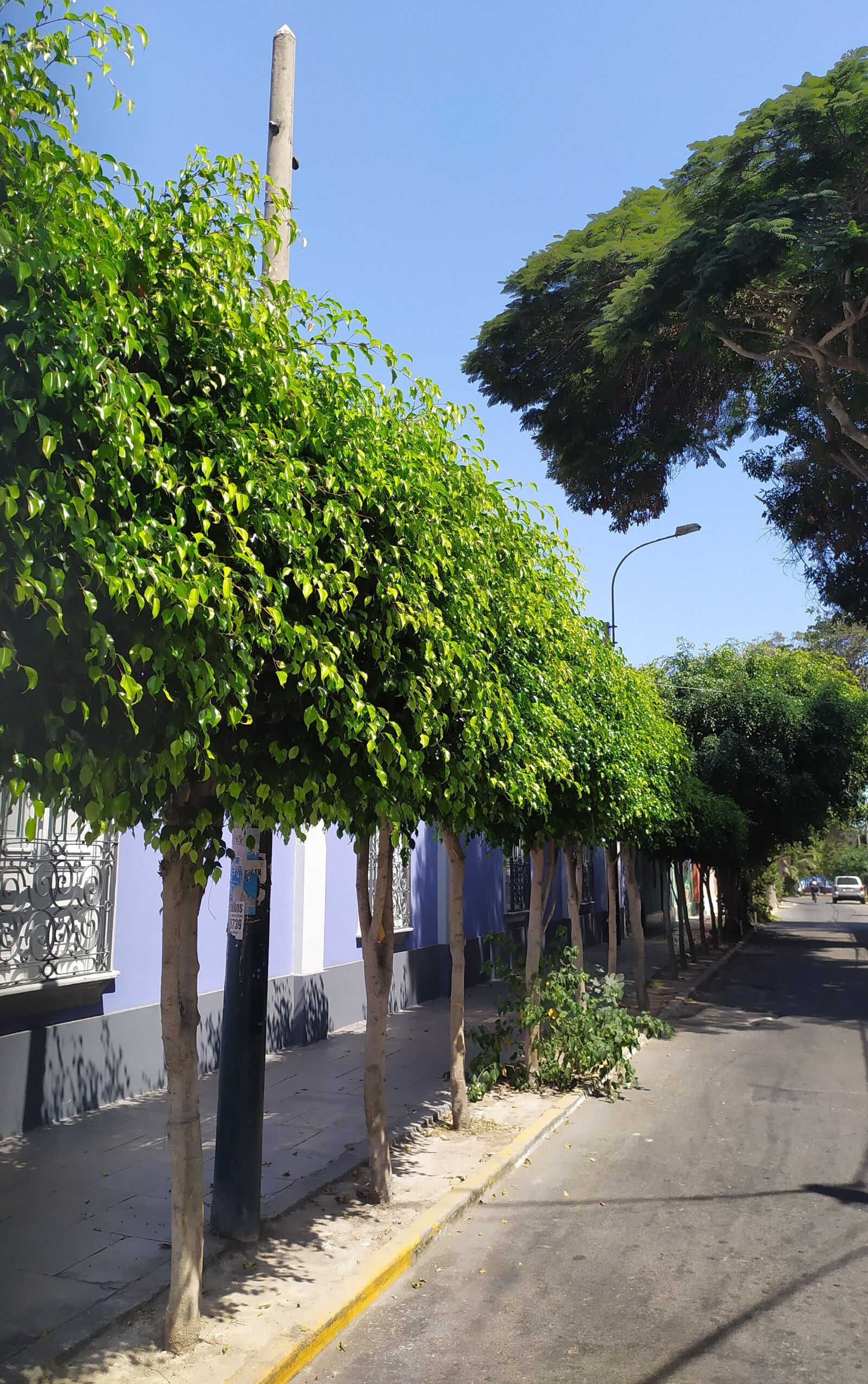 Xiaomi Redmi Note 7 sample photo. Streets, quarantine, ravine photography