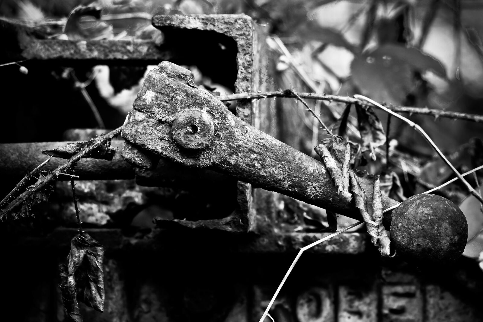 Olympus OM-D E-M10 sample photo. Lost places, factory, old photography