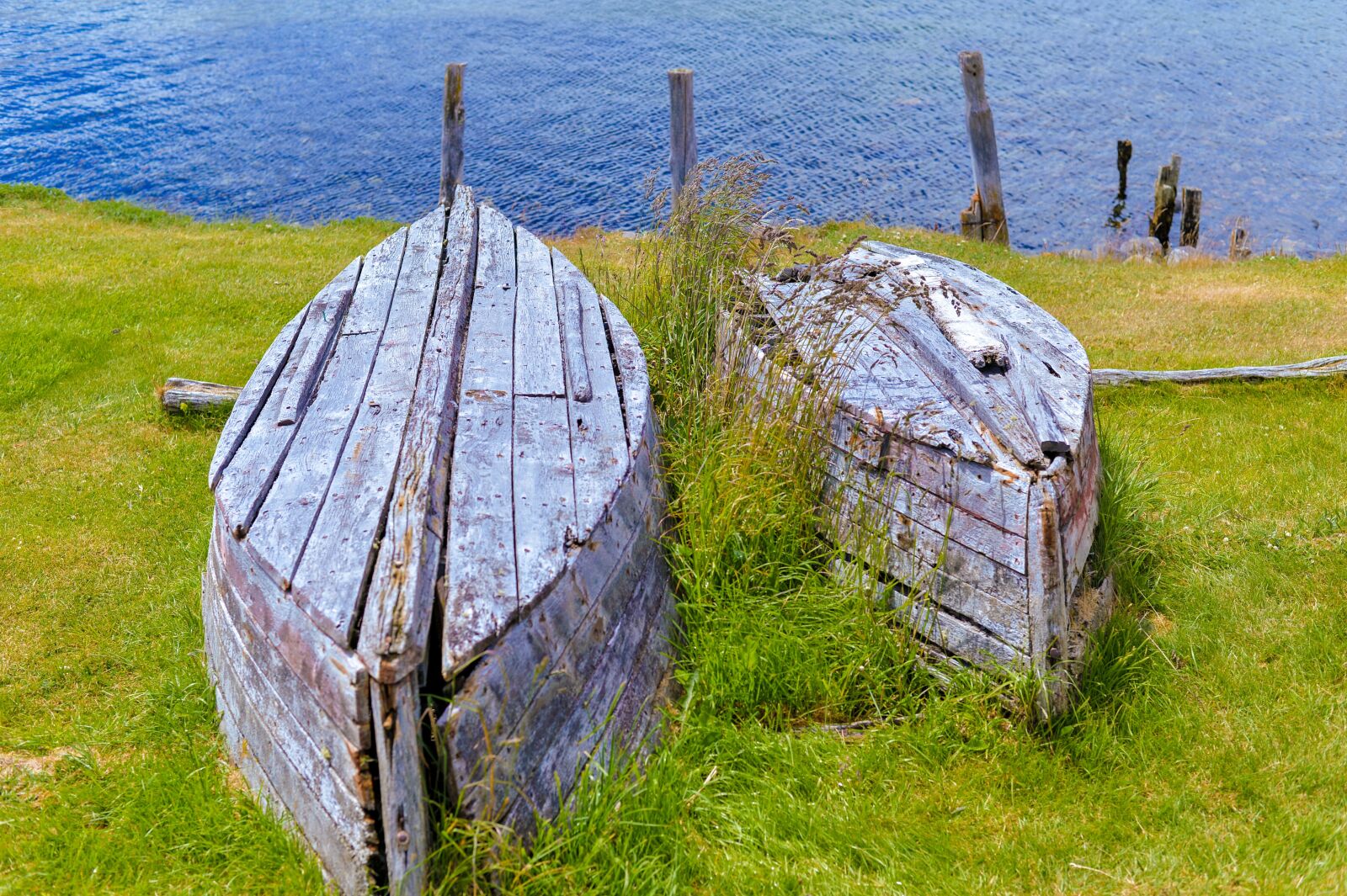 Nikon Df sample photo. Lago, barche, patagonia photography