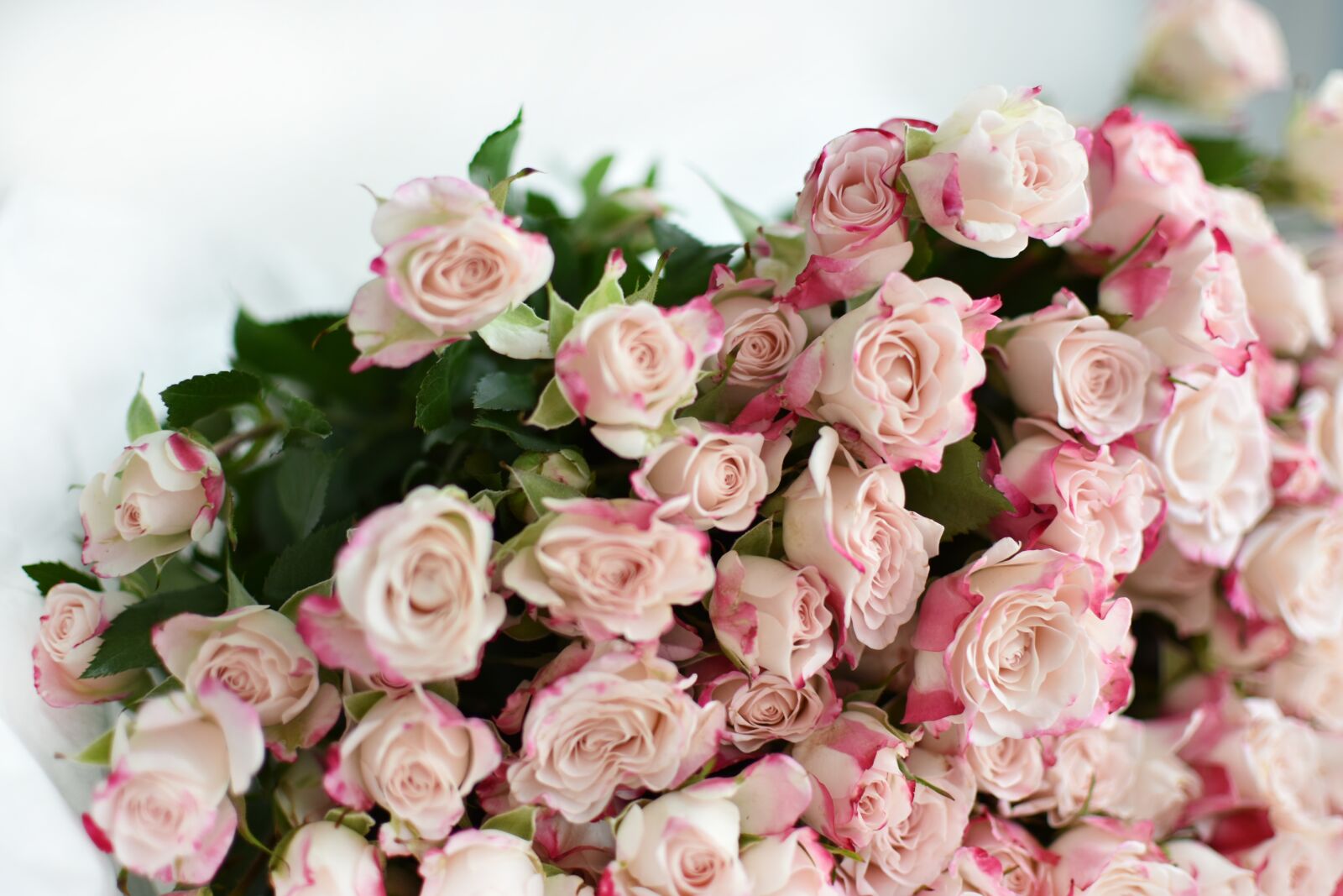 Nikon D3400 sample photo. Rose, bouquet, flowers photography