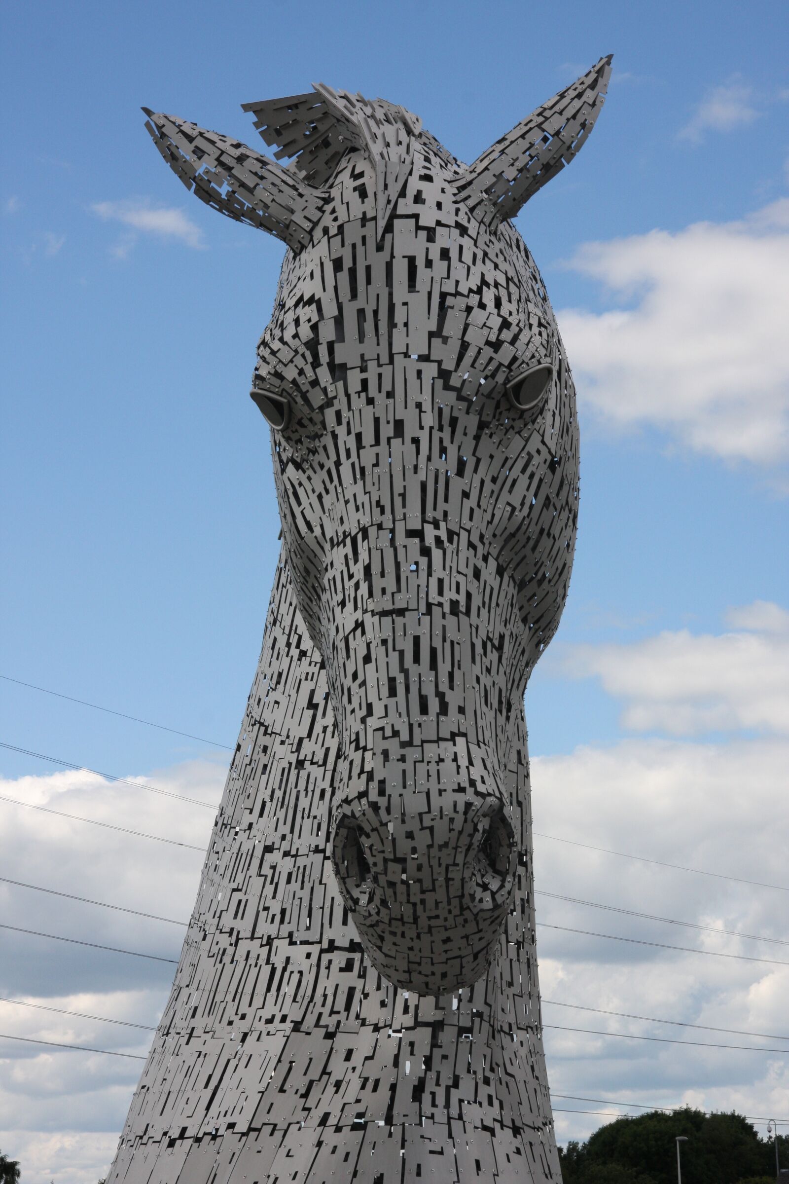 Canon EOS 40D sample photo. A, kelpie, falkirk photography