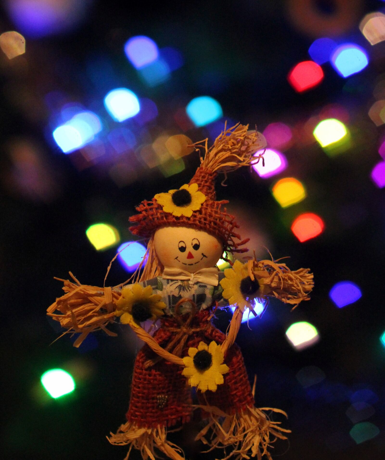 Canon EOS 700D (EOS Rebel T5i / EOS Kiss X7i) + Canon EF 85mm F1.8 USM sample photo. Scarecrow, bokeh, decorations photography