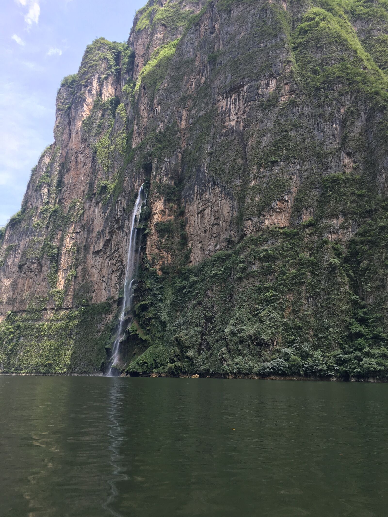 Apple iPhone 6s sample photo. Chiapas, mexico, jungle photography