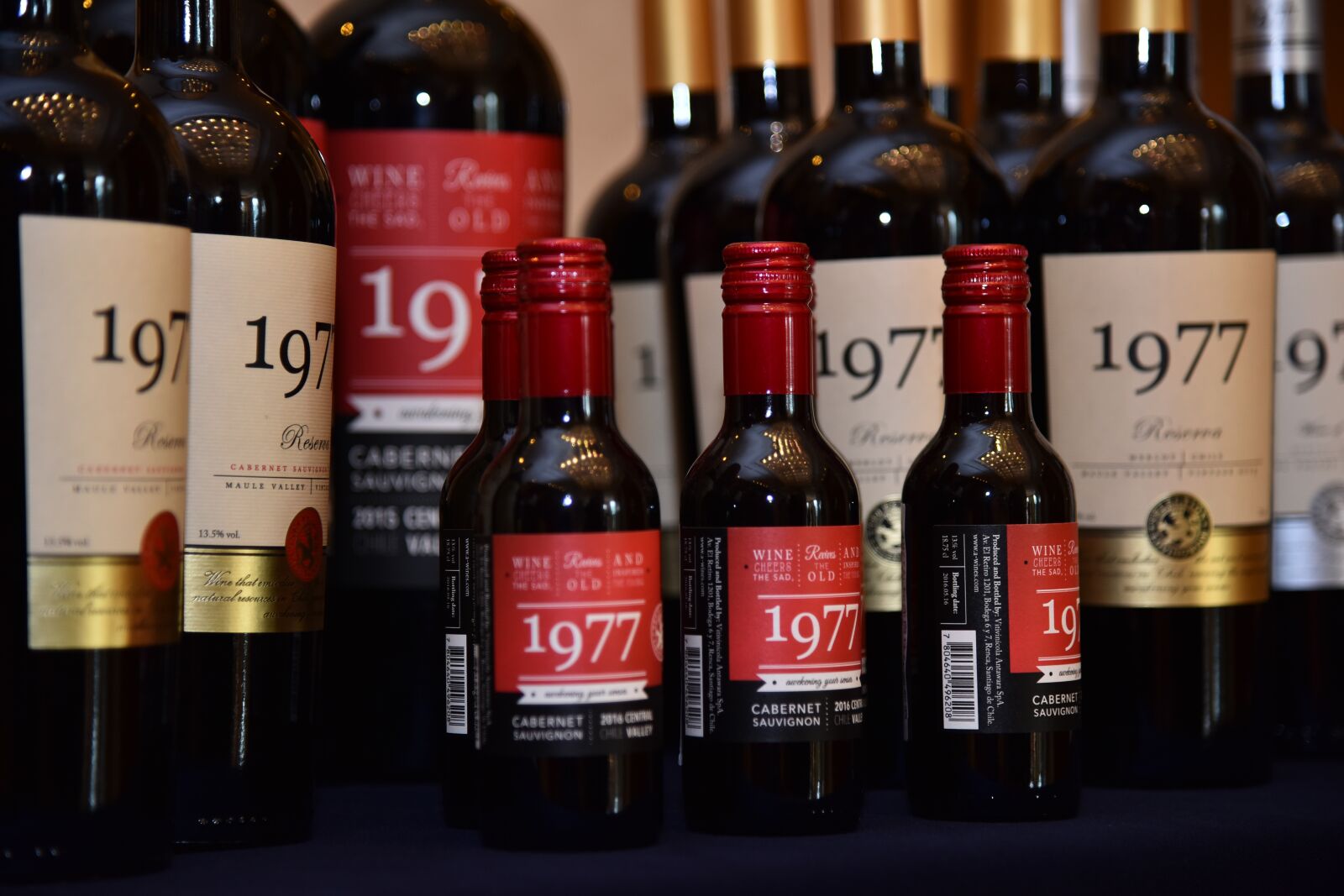 Nikon D810 sample photo. Wine, arrange, show photography