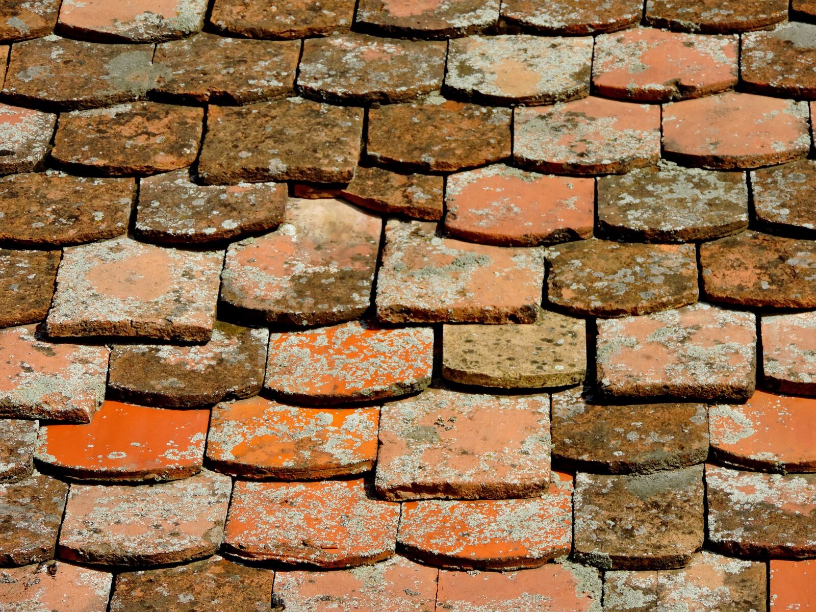 Nikon Coolpix P520 sample photo. Wall, architecture, surface, old photography