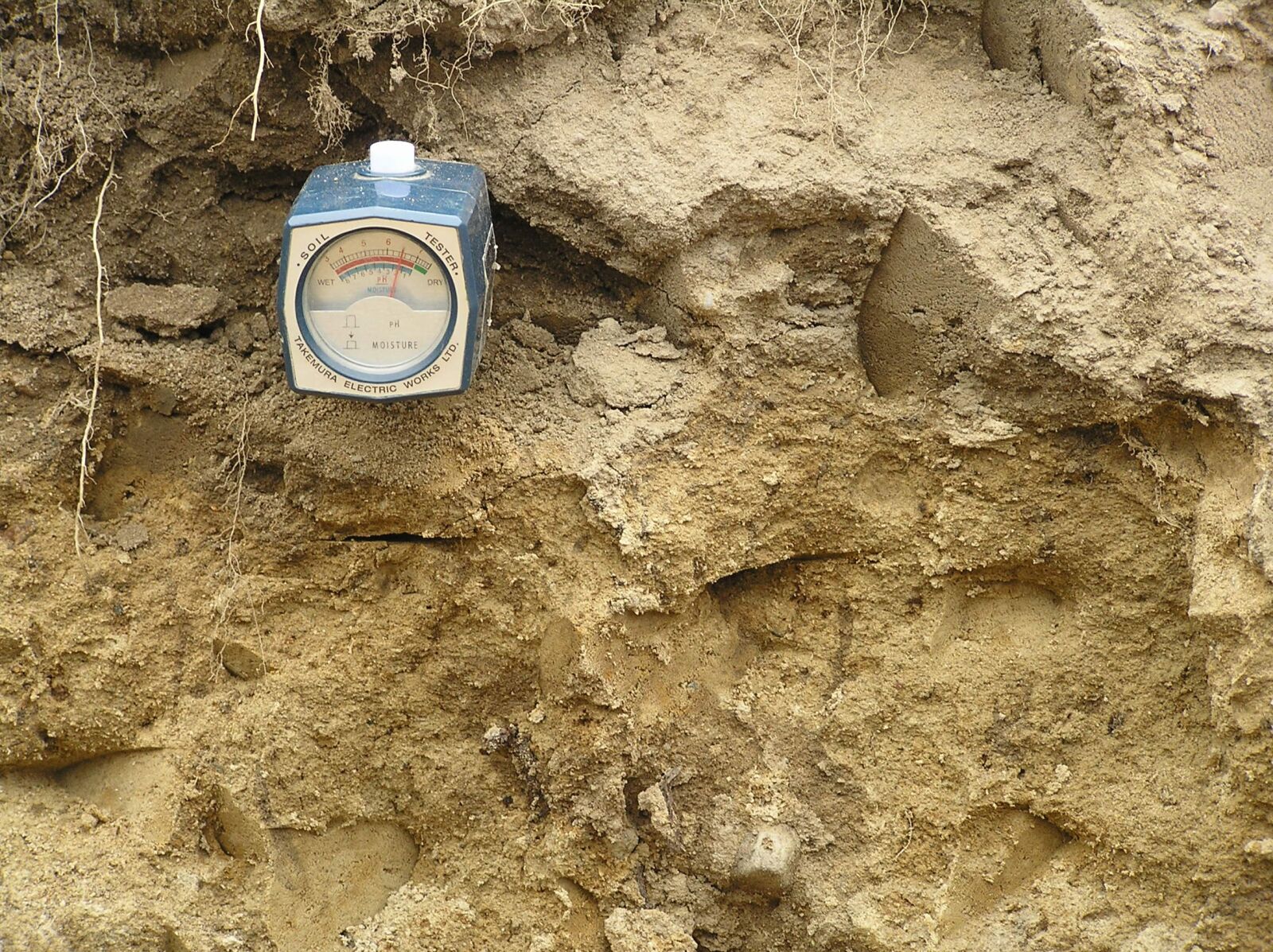 Olympus C765UZ sample photo. The soil profile, ph photography