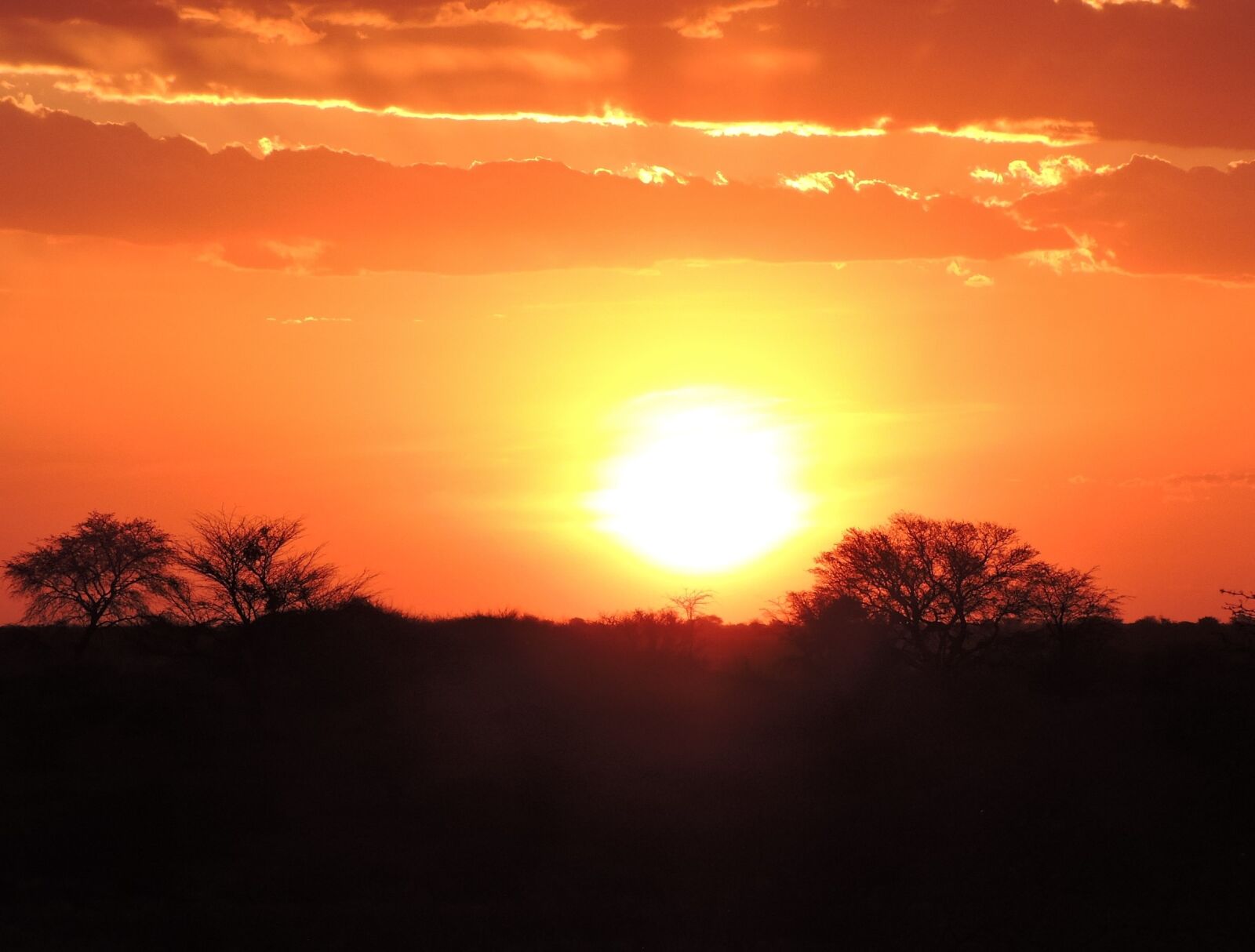 Nikon Coolpix P600 sample photo. Sunset, namibia, kalahari desert photography