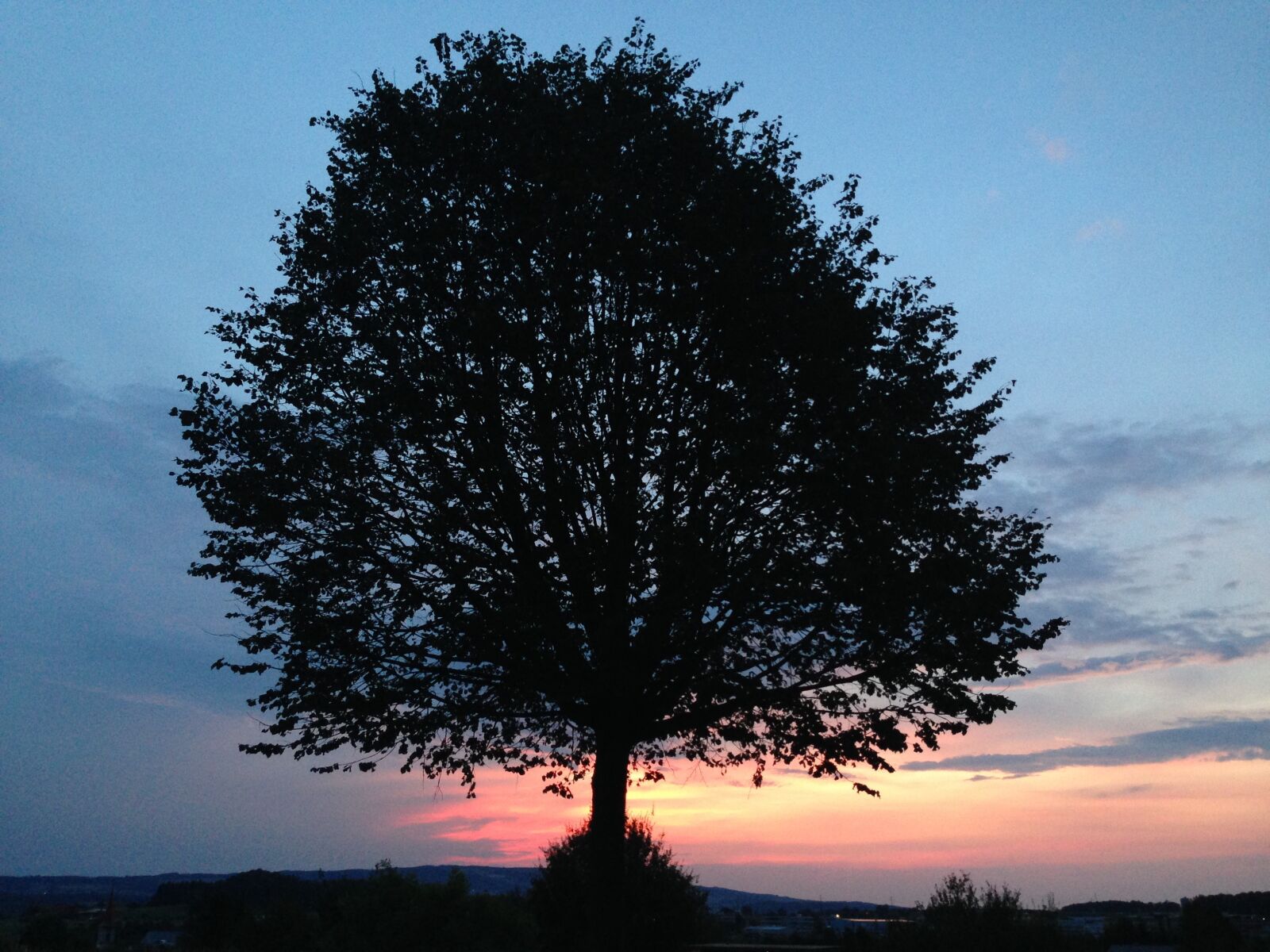 iPhone 5 back camera 33mm f/2.4 sample photo. Nature, tree, sunset photography