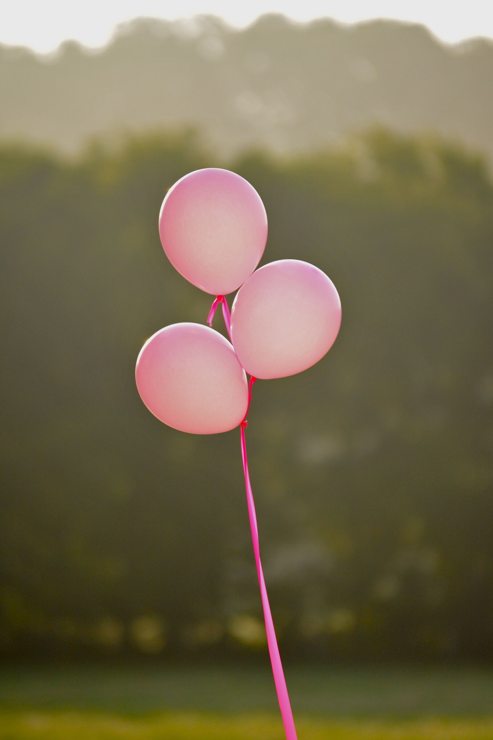 Nikon D700 sample photo. Pink, pink balloons, breast photography