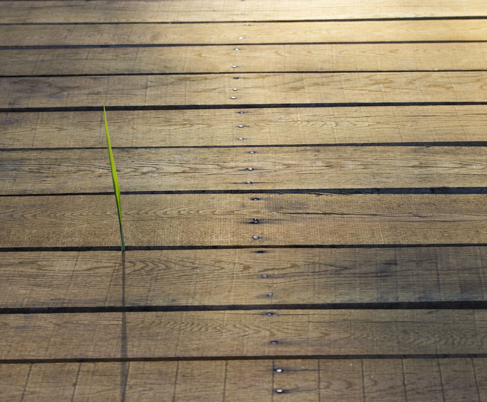 Canon EF-S 60mm F2.8 Macro USM sample photo. Planks, simple, wood photography