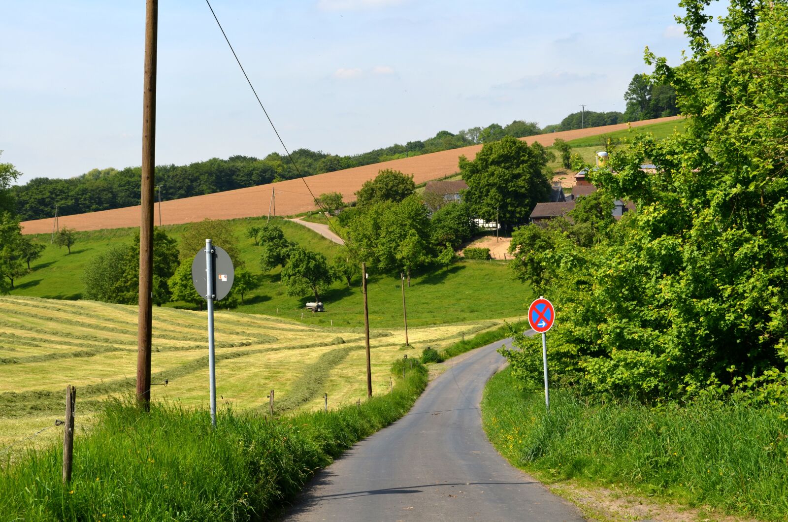 Nikon D5100 sample photo. Away, green, pasture fattening photography