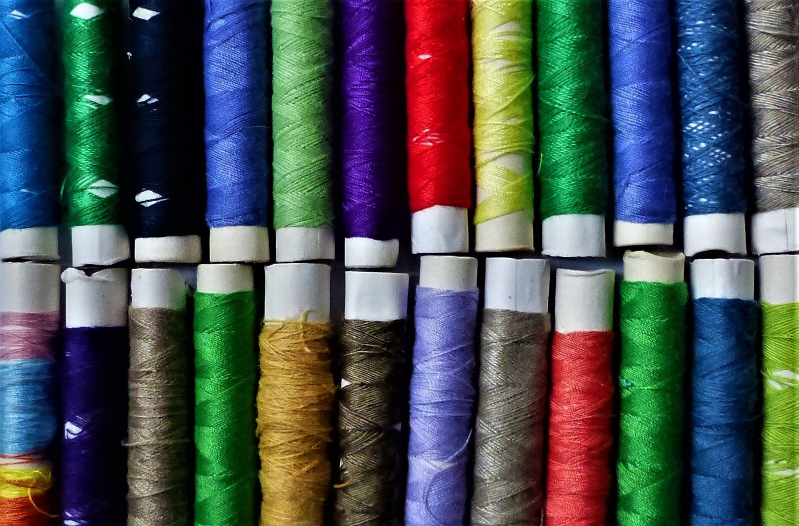 Panasonic Lumix DMC-FZ200 sample photo. Wire, create, motley photography