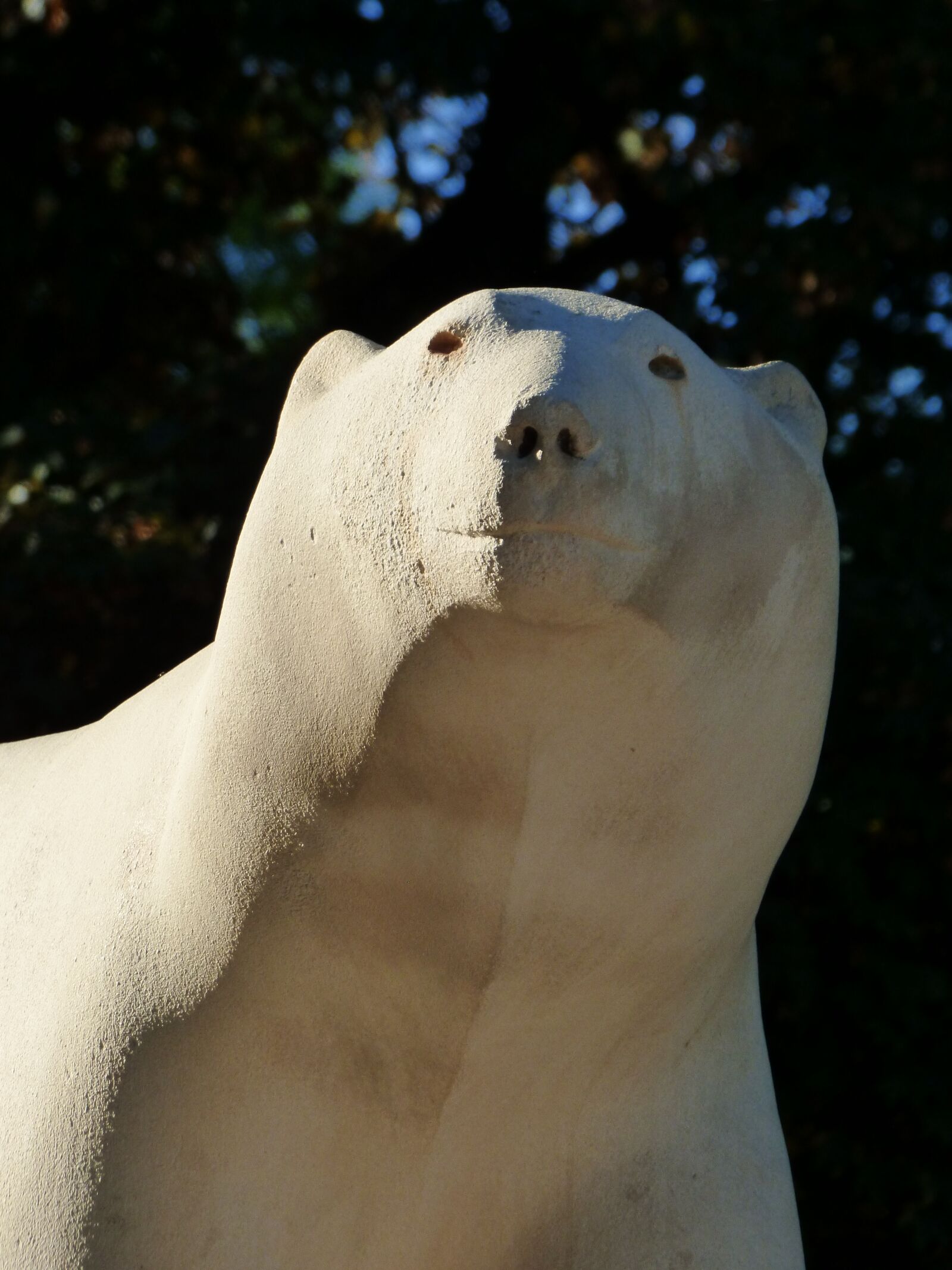 Panasonic DMC-FZ72 sample photo. Sculpture, white bear, darcy photography