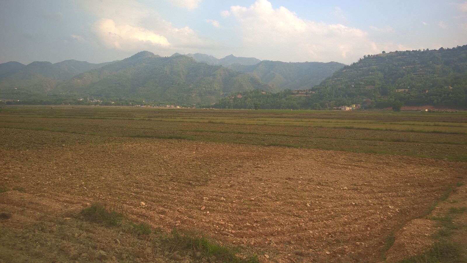 Nokia Lumia 830 sample photo. Crops, plain land, beautiful photography