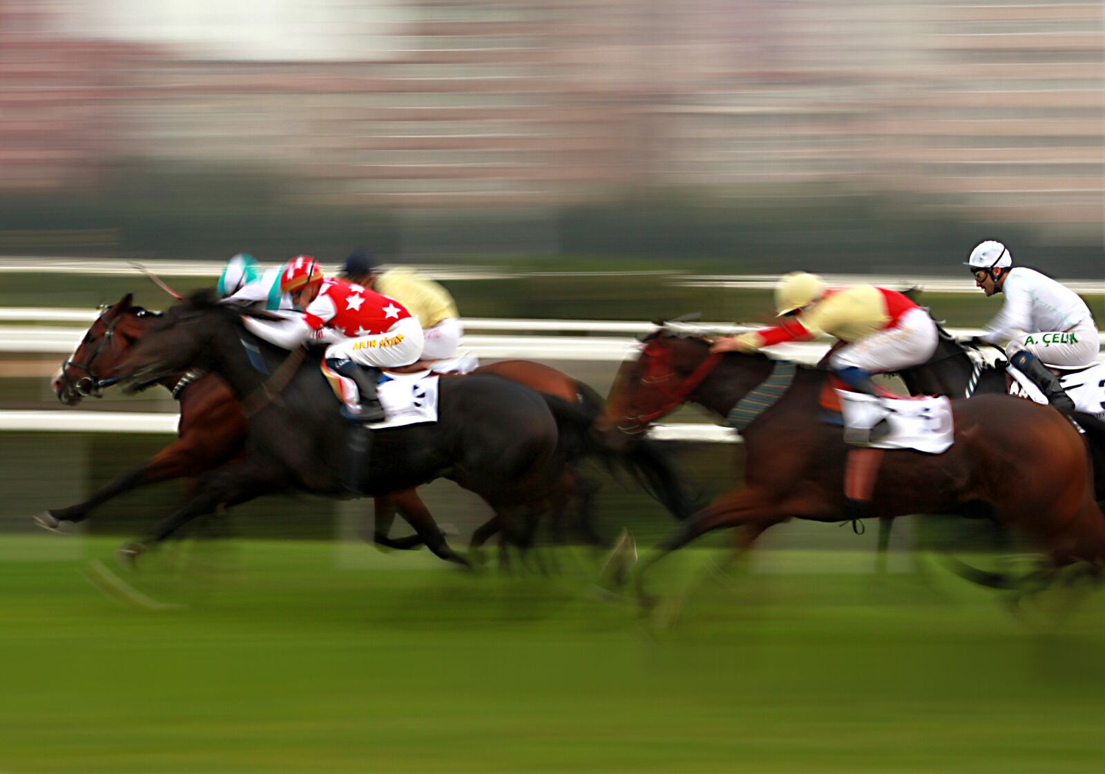 Canon EOS 500D (EOS Rebel T1i / EOS Kiss X3) sample photo. Horse, horses, race horse photography