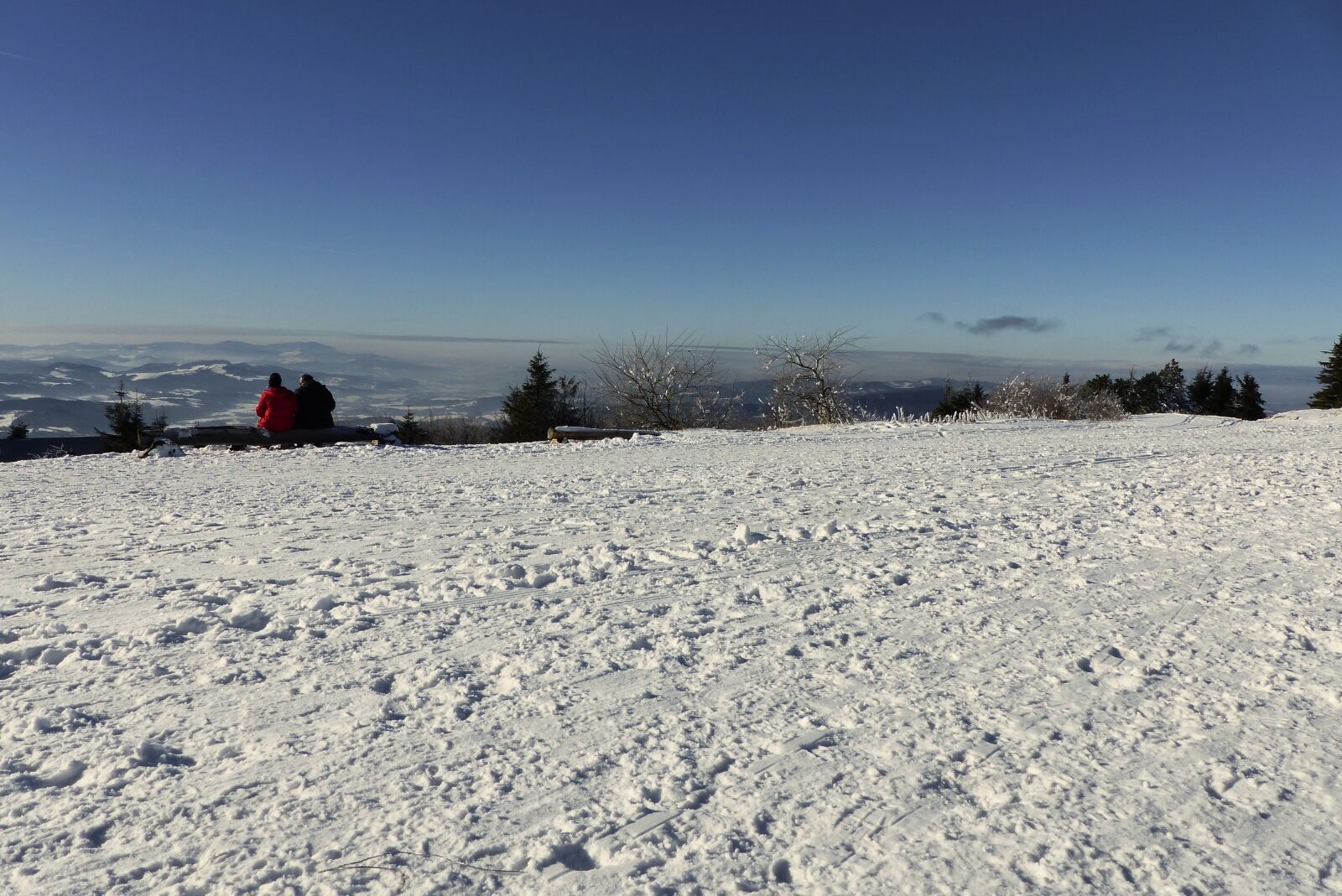 Panasonic Lumix DMC-FZ200 sample photo. Winter, snow, nature photography