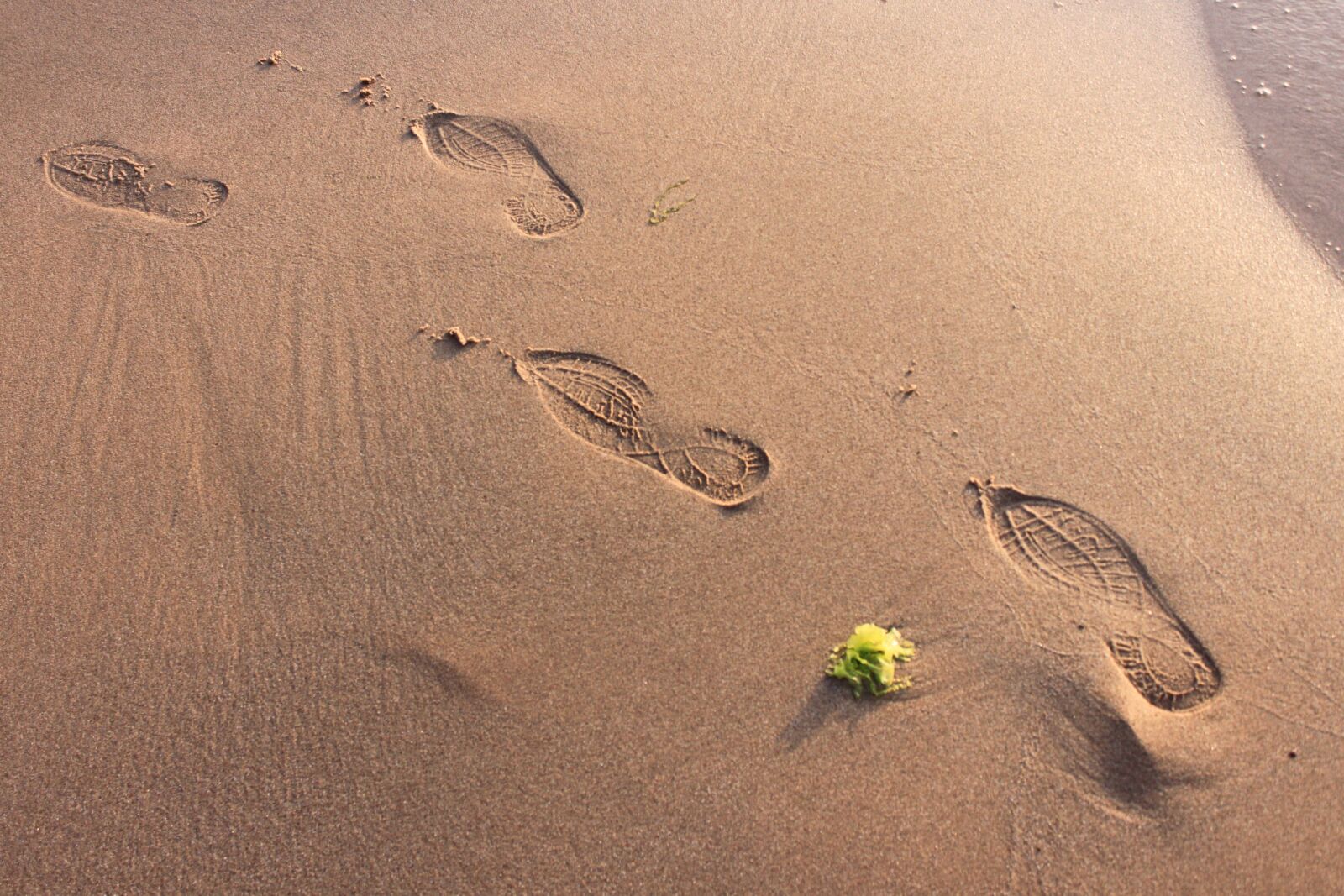 Canon EOS 500D (EOS Rebel T1i / EOS Kiss X3) sample photo. Sand, beach, footprint photography