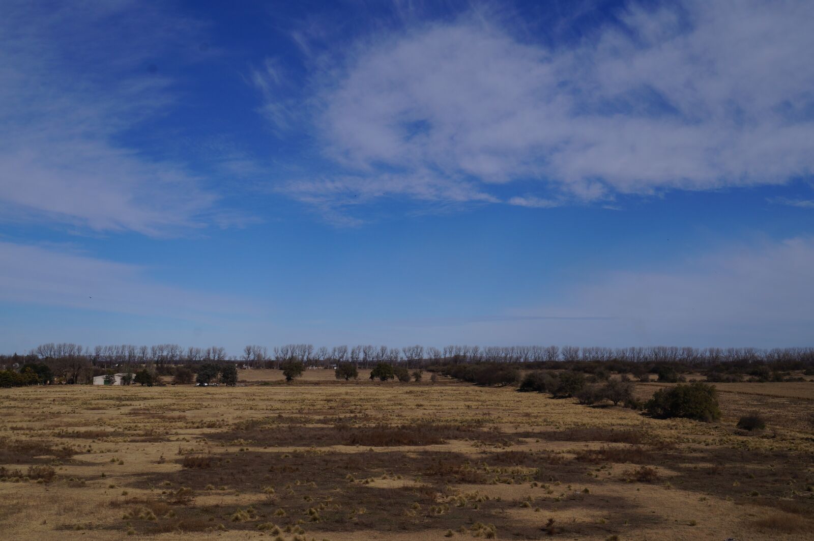 Sony SLT-A37 sample photo. Prairies, nature, beauty photography