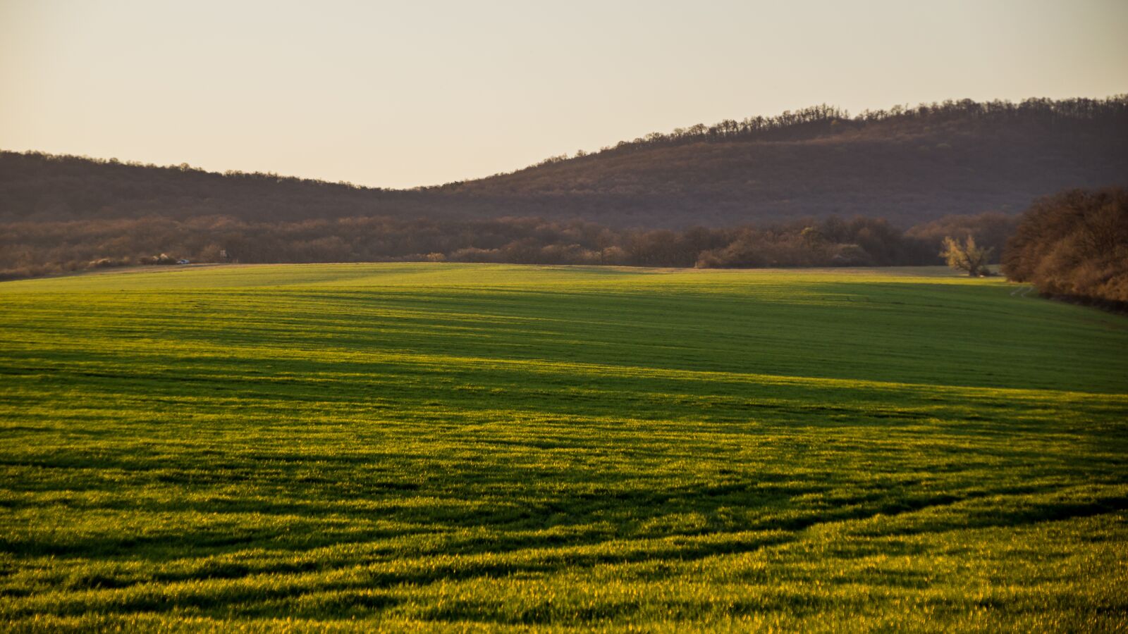 Tamron 18-200mm F3.5-6.3 Di II VC sample photo. Field, sunset, dusk photography