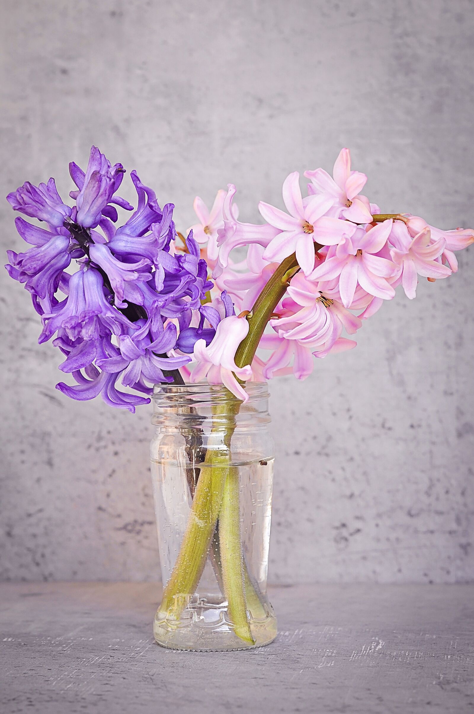 Nikon D90 sample photo. Hyacinth, pink, blue photography