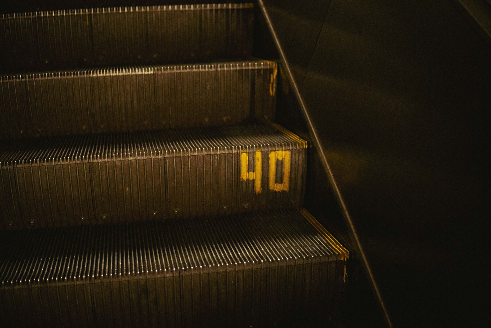 Sony a7 IV sample photo