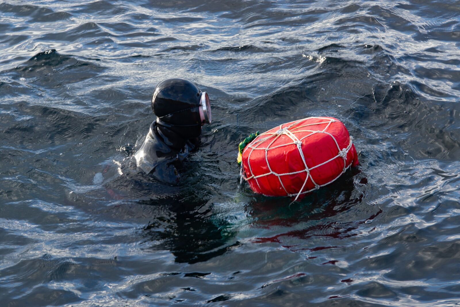 Sony SLT-A77 sample photo. Female diver, woman, sea photography