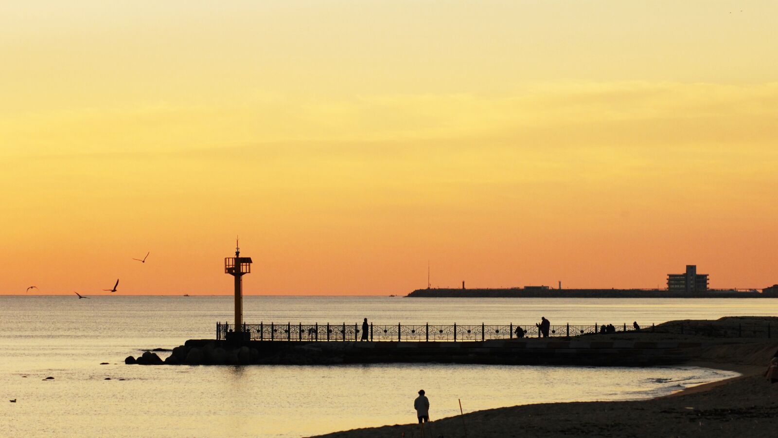 Nikon D2Xs sample photo. Lighthouse, beach, gangneung photography