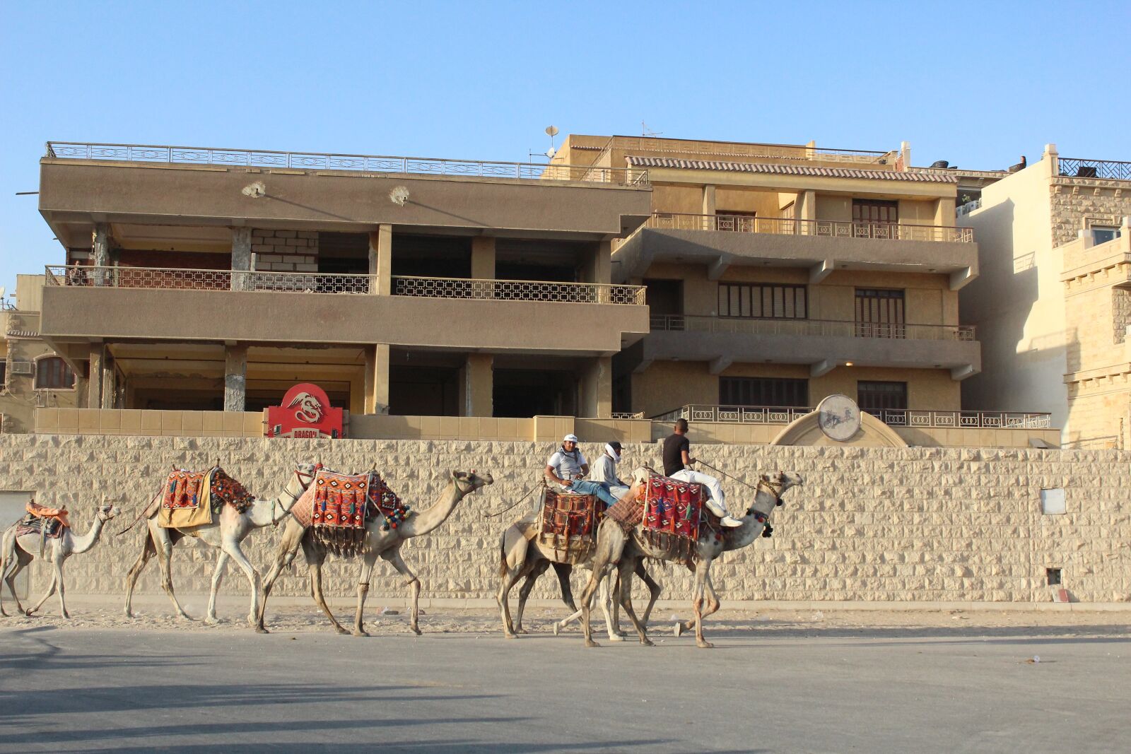 Canon EOS 600D (Rebel EOS T3i / EOS Kiss X5) sample photo. Egypt, desert, sand photography