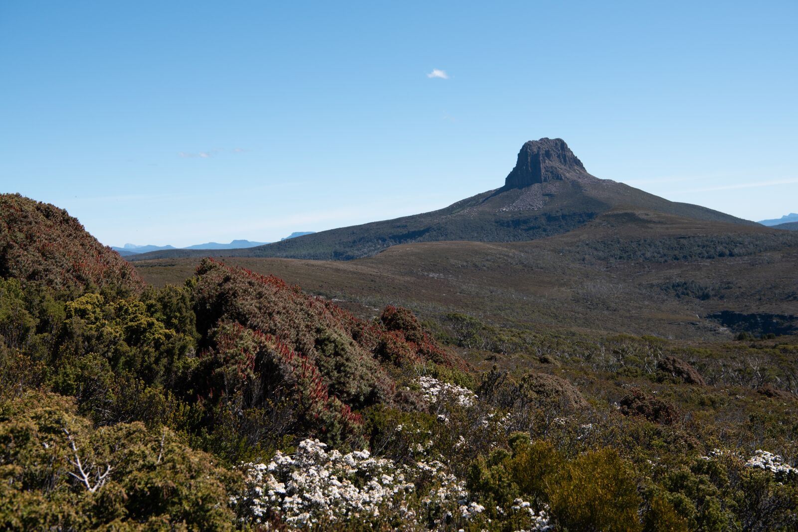 Nikon D750 sample photo. Barn bluff, overland track photography