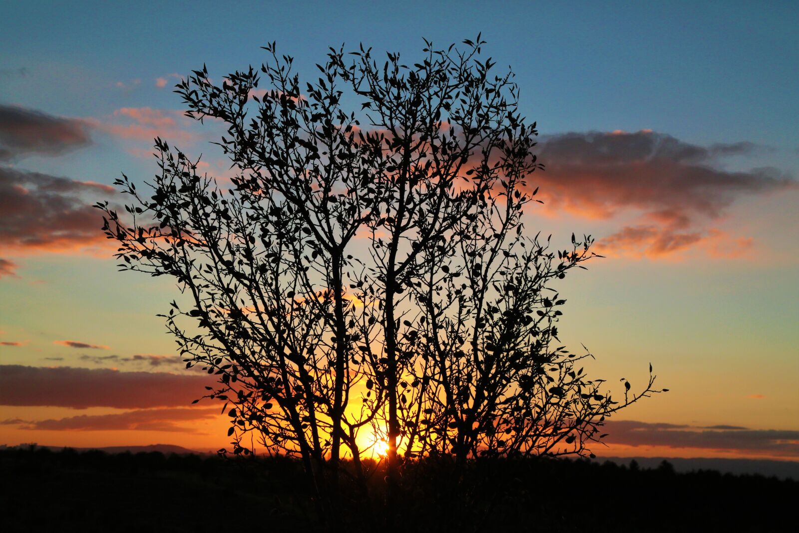 Canon EF 24-105mm F4L IS USM sample photo. In the evening, sunset photography