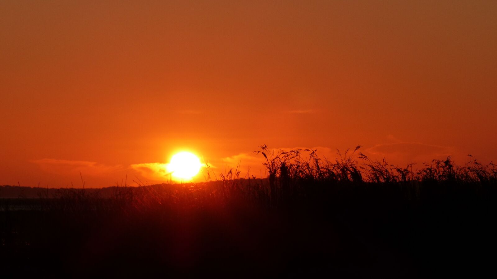 Panasonic Lumix DMC-FZ200 sample photo. Sunset, nature, landscape photography