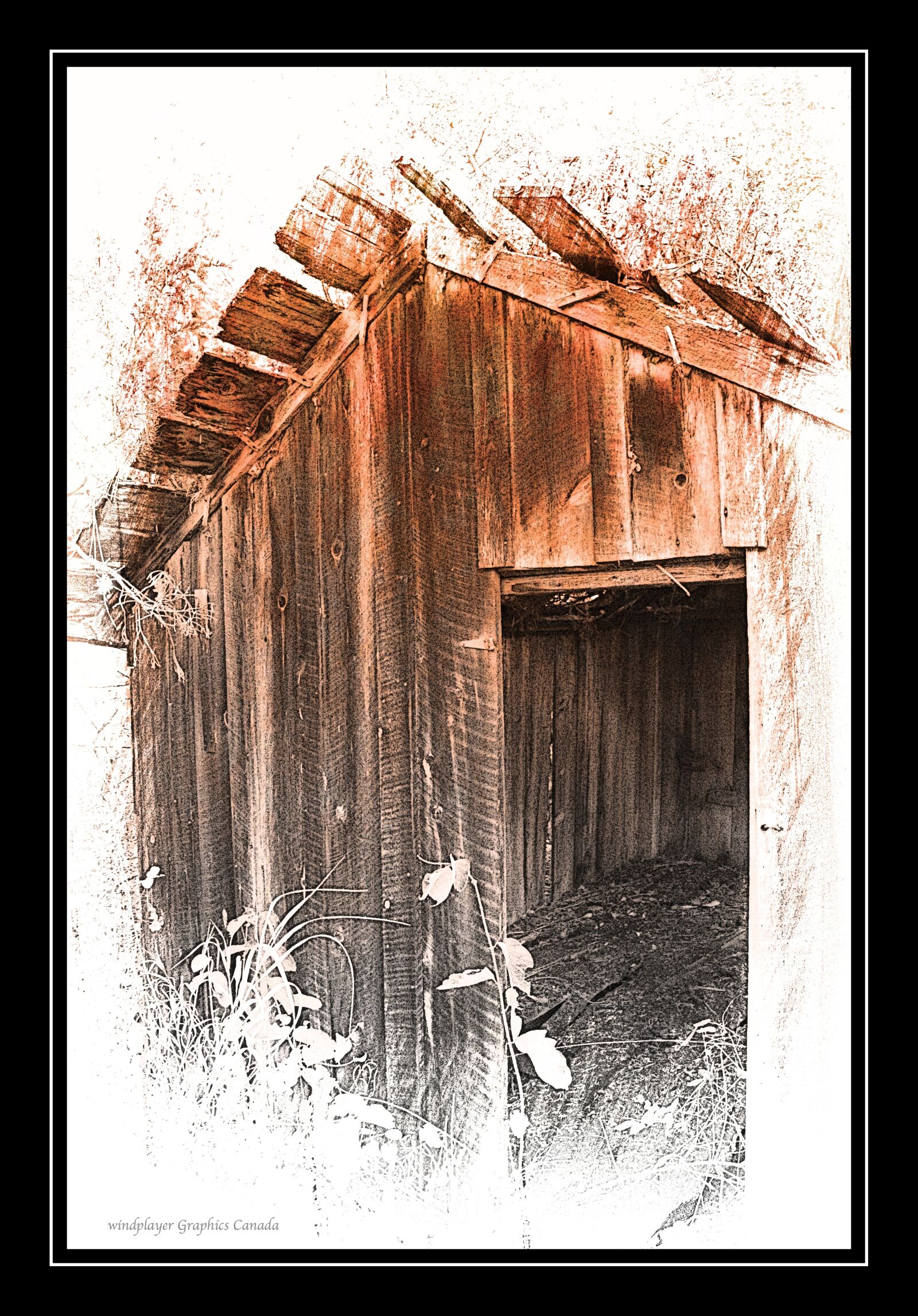 Nikon D7000 sample photo. Autumn, color, fall, shed photography