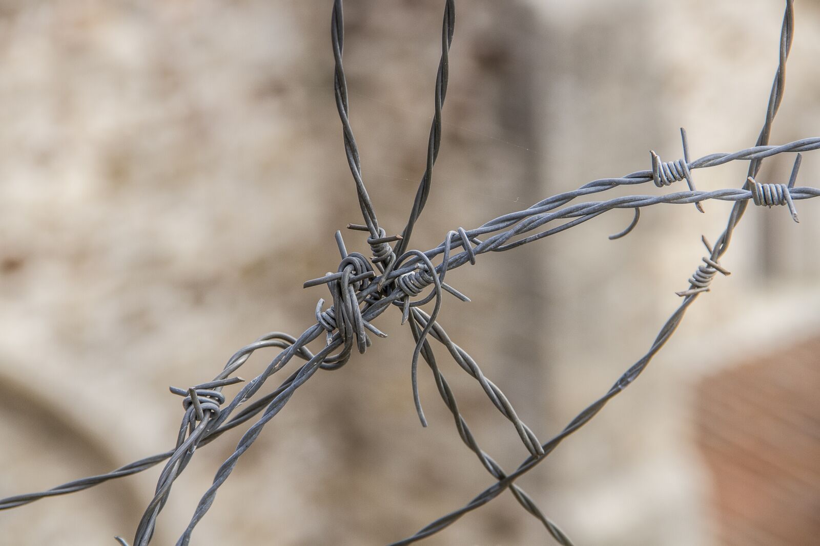 Canon EOS 7D sample photo. Fence, wire, hawthorn photography
