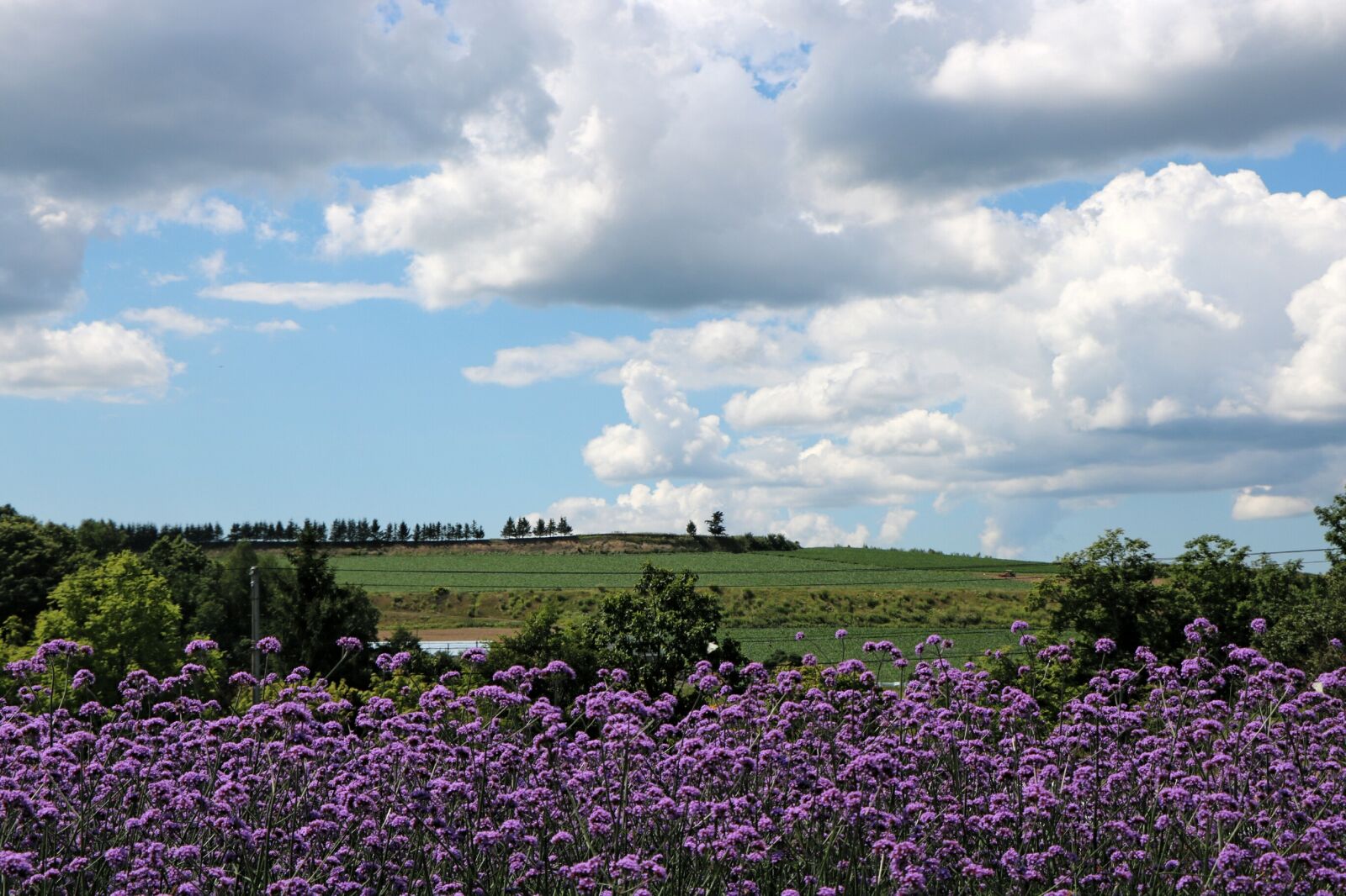 Canon EOS 760D (EOS Rebel T6s / EOS 8000D) sample photo. Japan, landscape, hokkaido photography