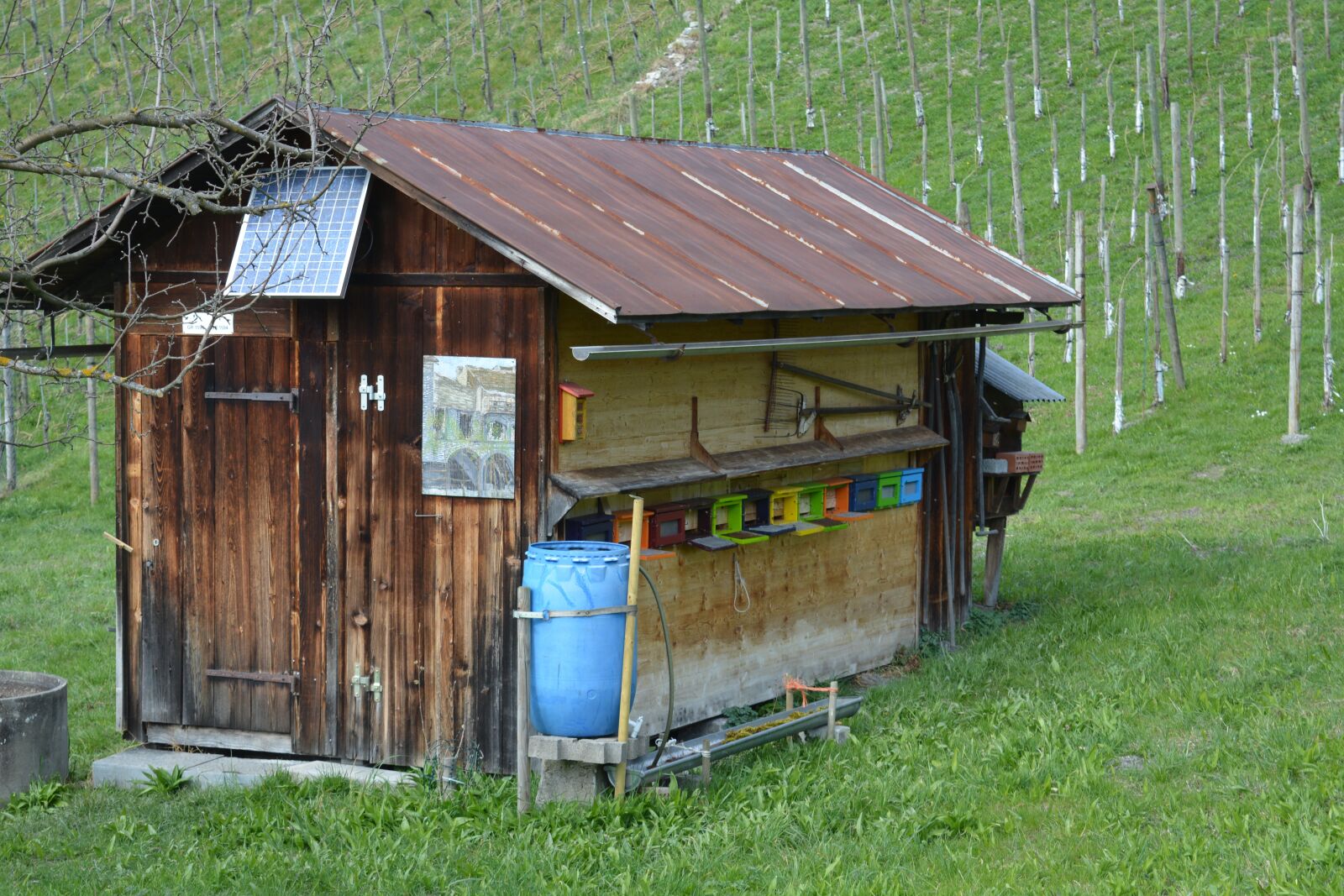 Nikon D5200 sample photo. Bee house, animals, honey photography