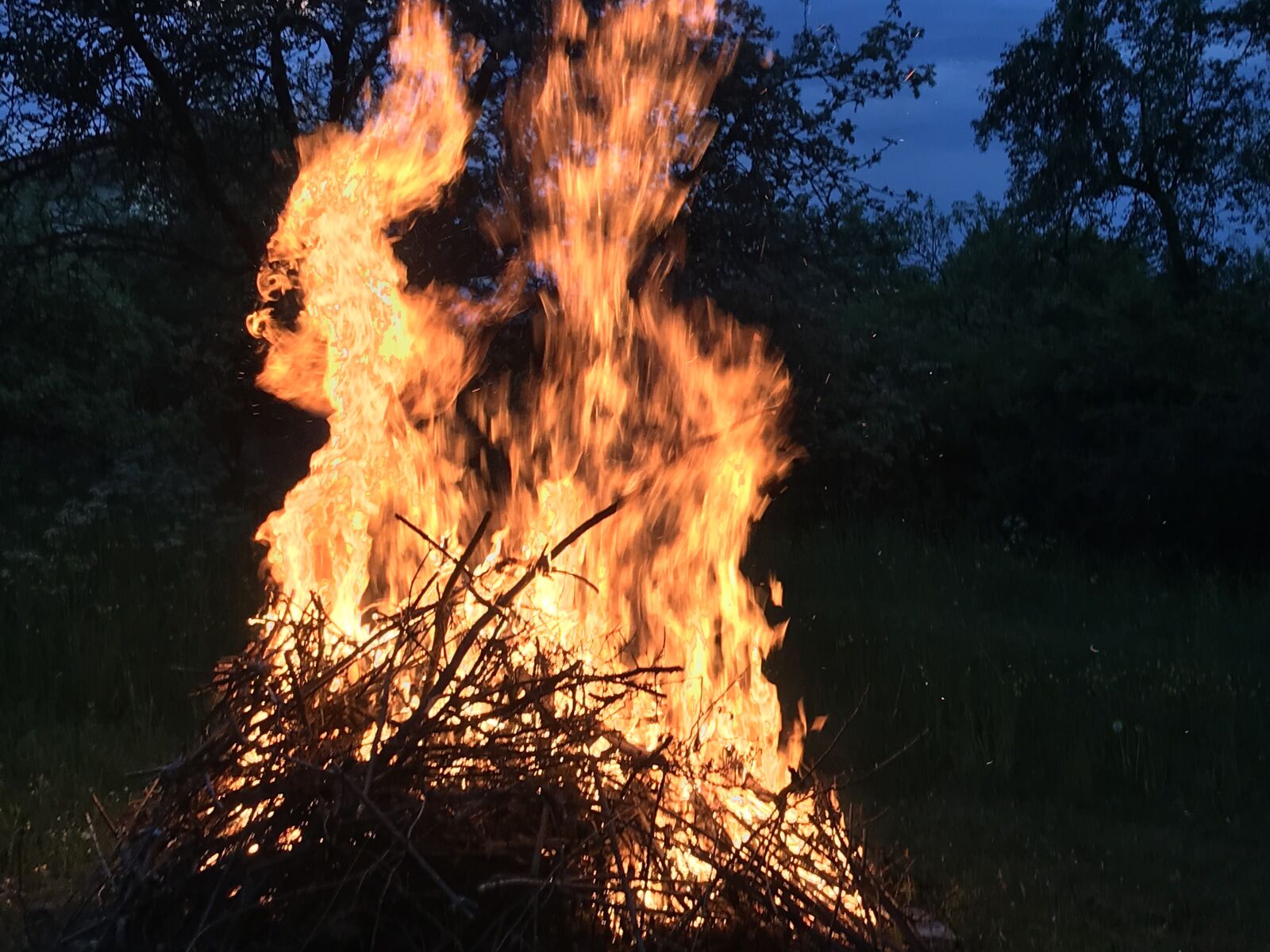 iPhone 7 back camera 3.99mm f/1.8 sample photo. Campfire, bonfire, flame photography
