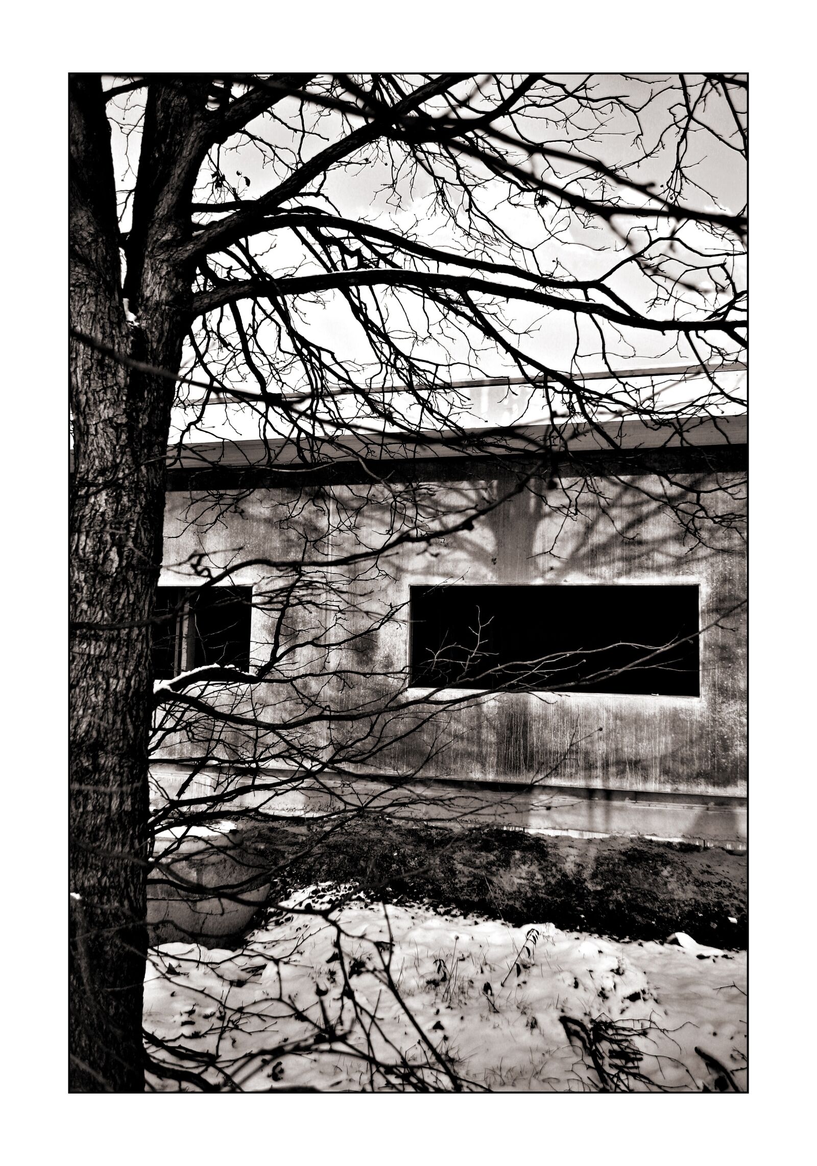 Canon EOS 10D sample photo. Black and white, sw photography