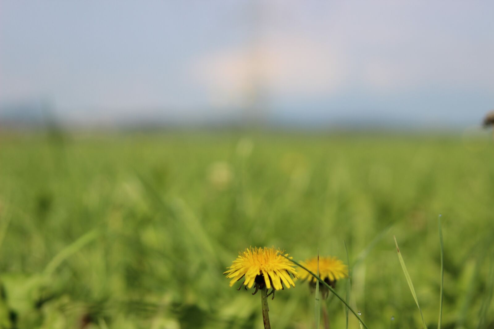 Canon EOS 600D (Rebel EOS T3i / EOS Kiss X5) sample photo. Carinthia, nature, austria photography