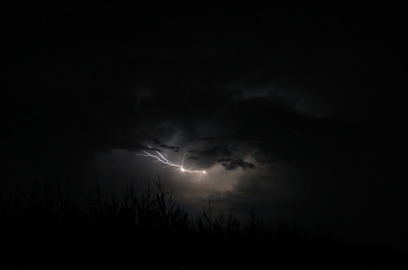 Canon EOS 600D (Rebel EOS T3i / EOS Kiss X5) sample photo. Flash of lightning, flash photography