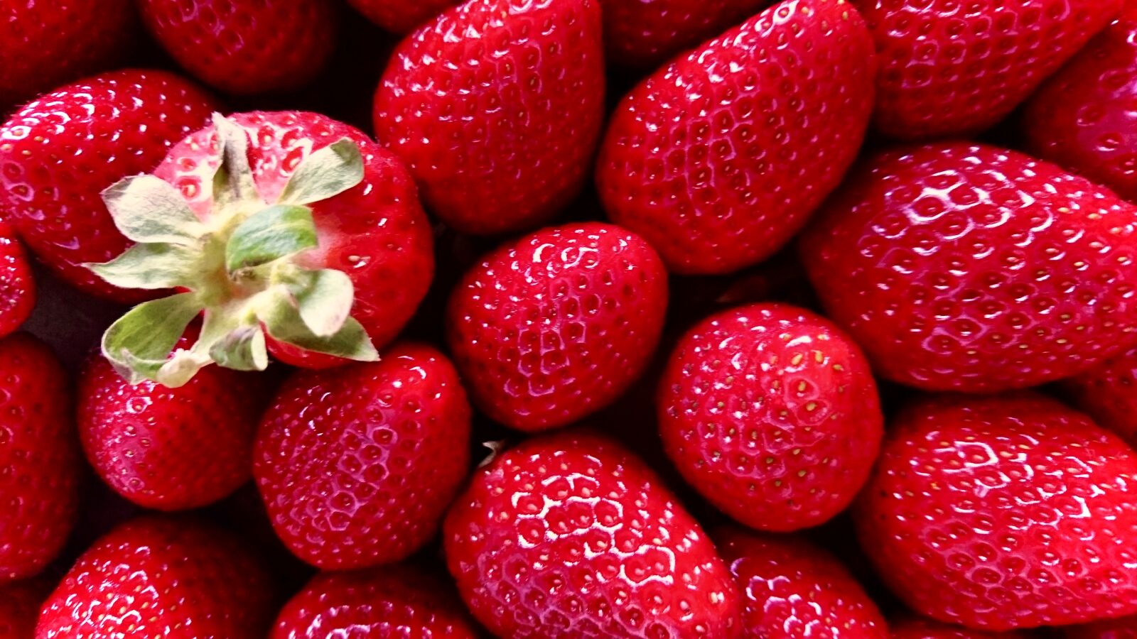 Sony Xperia Z5 Compact sample photo. Strawberries, red, beautiful photography