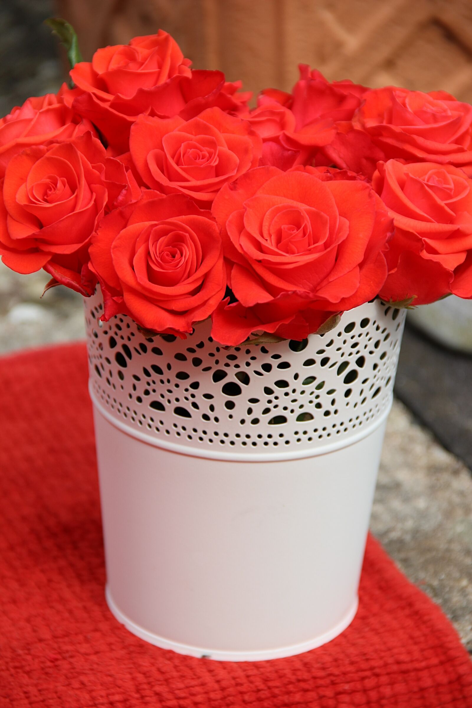 Canon EOS 600D (Rebel EOS T3i / EOS Kiss X5) sample photo. Roses, flowers, red bucket photography