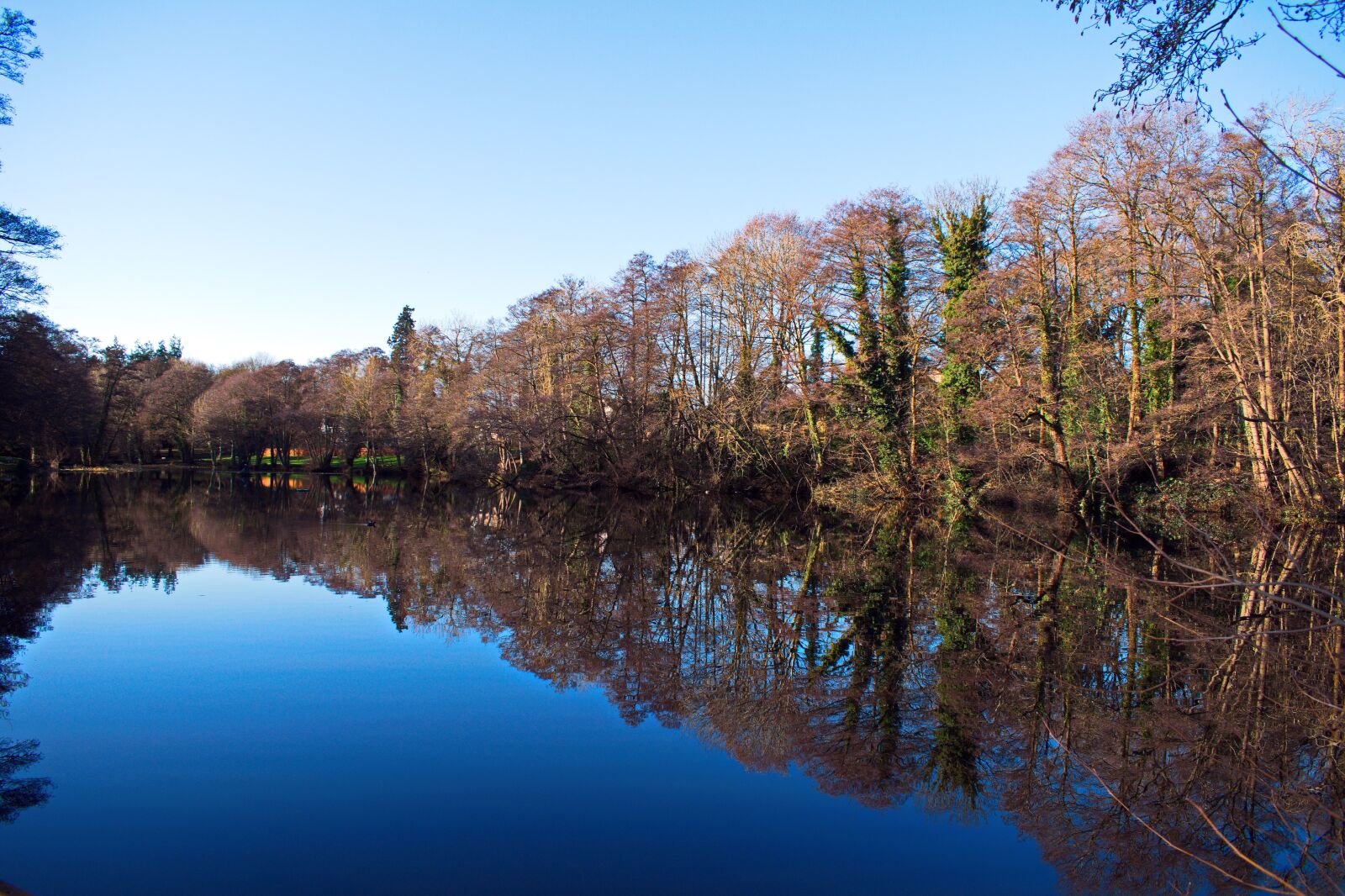 Nikon D3300 sample photo. Reflections of december, reflections photography