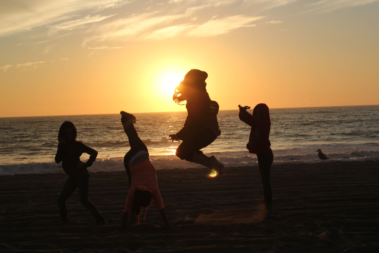 Canon EOS 550D (EOS Rebel T2i / EOS Kiss X4) sample photo. Posing, at, sunset, silhouette photography